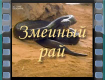 Змеиный рай